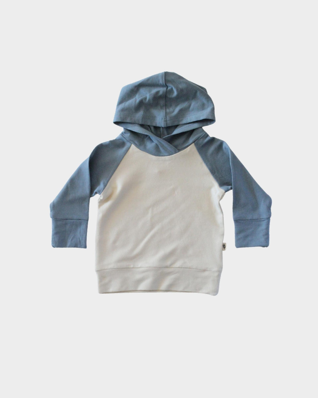 Colorblock Hoodie - Slate Blue